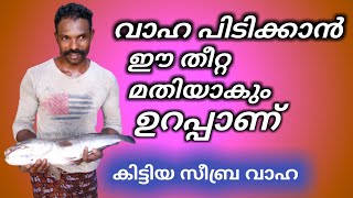 ചെറിയ കുറുവമീൻ ഒണ്ടെങ്കിൽ വാഹ ഉറപ്പാണ് വാഹ പിടിക്കാൻ ഇവൻമതിയാകും #keralafishing