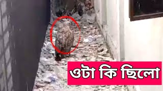 হঠাৎ চোখে পড়ল? এটা কি ছিল? একটু এগিয়ে দেখে আসি।