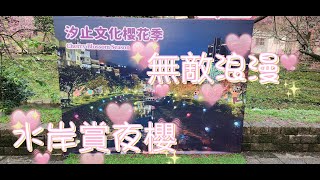 2023康誥坑溪/汐止櫻花季/無敵浪漫/水岸賞夜櫻