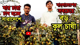 বল সুন্দরী ও কাশ্মিরী কুল চাষ করে ব্যাপক সফলতা কবির হোসেন এর | উদ্যোক্তার খোঁজে