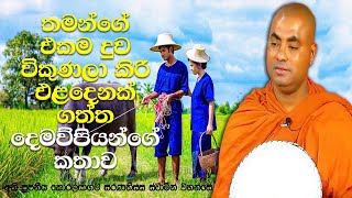 දන් දෙන්න ගත්ත එළදෙනගෙන් ලැබුනේ කිරි නොවේ, නැලි ගනන් තෙල් | Koralayagama Saranathissa Thero