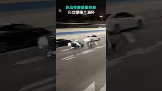 鸵鸟在隧道里狂奔，和交警撞个满怀# 娱乐 #搞笑