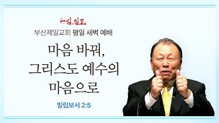 [4단계회개] 25년 02월 24일 월요일 새벽