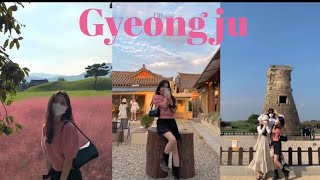 [VLOG] 가을에 떠난 경주여행 브이로그🍂Gyeongju Travel Vlog • 황리단길 • 경주맛집,카페투어 • 핑크뮬리 • 경주숙소추천 • 경주여행코스