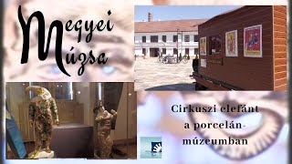 Cirkuszi elefánt a porcelánmúzeumban | Megyei múzsa 2024.08.14.