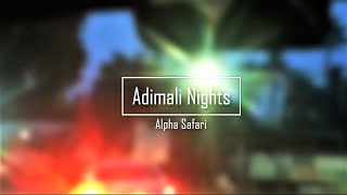 Adimali  Nights - The City View | 4K UHD | Alpha Safari