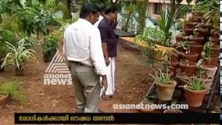 Ayurvedic herbs garden at Thrissur District Ayurveda Hospital