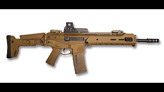 The Bushmaster acr