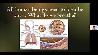 Air Pollution & Brain Health