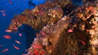 Sardinia wreck expedition for web-YouTube sharing.mov