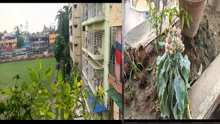 বৃষ্টি তে কি এমন হলেও তাতে এই অবস্থা #bengalivlog @pinki765 #pleasesubscribe