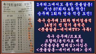 [지난 회차 4등 적중] 축구 토토 승무패 1회차 프리미어리그 EPL 2부리그 챔피언십 현미경분석/축구 승무패 분석/축구 승무패 프로토 승부식 조합픽/축구 토토 프로토 분석