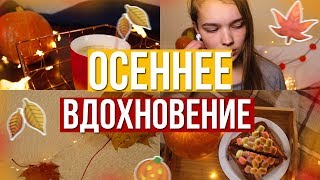 ОСЕННЕЕ ВДОХНОВЕНИЕ 2019 | ДЕКОР,РЕЦЕПТЫ,ЧТО ДЕЛАТЬ ОСЕНЬЮ?|| MASHA ZAYTCEVA