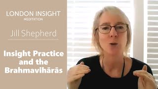 Jill Shepherd - Insight Practice and The Brahmavihārās