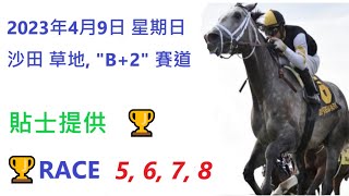 🏆「賽馬貼士」🐴2023年 4 月 9 日💰 星期日  😁 沙田 香港賽馬貼士💪 HONG KONG HORSE RACING TIPS🏆 RACE  5   6  7   8   😁