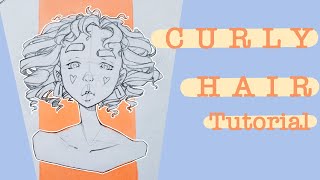 How to Draw Curly Hair | Breaking Down Wavy, Curly, and Coily Hair into Simple Shapes