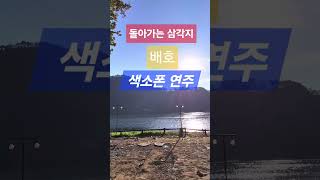 #돌아가는삼각지  #배호  #엘토색소폰연주  #정통트롯 #색소포니스트이명수