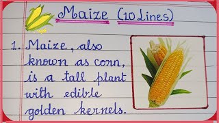 10 Lines About Maize (Corn) || Writing Few Lines on Maize || Short Essay on Maize (Corn) || Maize