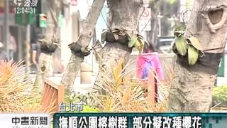 20120303 公視中晝新聞 北市撫順公園 擬改種櫻花待評估