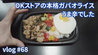 vlog: #68 「OKストアの本格ガパオライス、うま辛でした」