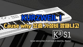 [특별할인] 가성비 깡패 또 나왔습니다 | 커즈와일 KA-S1 | Kurzweil