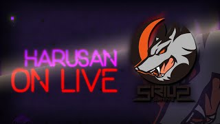 【レインボーシックスシージ】HaRuSAN Live~ソロランク【声が低めのプロゲーマー】