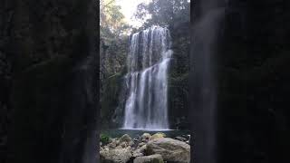 大分県日田市天ヶ瀬町　桜滝