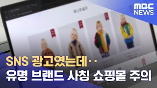 블랙프라이데이 80% 할인? 유명 브랜드 사칭 쇼핑몰 ‘주의보’ (2024.11.21/뉴스데스크/대구MBC)