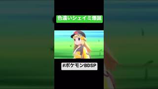 激レア色違いシェイミゲット！ #ポケモンBDSP  #shorts