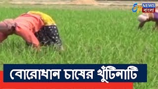 অন্নদাতা | বোরোধানের পরিচর্যা নিয়ে বিশেষজ্ঞের পরামর্শ