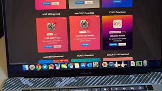 MacOS Big Sur Beta 2020 Download & install