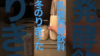 佐渡の乳酸発酵甘酸っぱい甘酒で冬を乗り切った#shorts