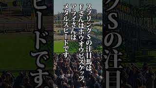 2023　阪神大賞典、スプリングS、フラワーカップ、ファルコンSの注目の一頭