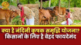 Sach Ke Saath |  क्या है Nandini Krishak Samridhi Yojana? किसानों के लिए है बेहद फायदेमंद