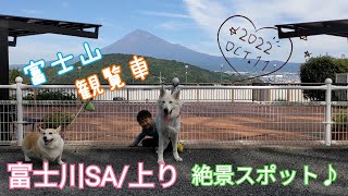 【富士川SA/上り】富士山の眺めが最高のサービスエリアの魅力を伝えたい♪