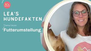 #1 Lea's Hundefakten - Futterumstellung beim Hund