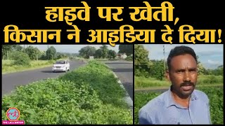 Madhya Pradesh: Betul-Bhopal National Highway पर  farmer ने crop उगा दी | NHAI