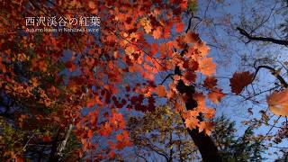 西沢渓谷の紅葉2018 a6500 4K