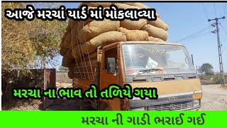 Marcha ni gadi bharai gyi  || આજે યાર્ડ માં મરચા મોકલવા ના છે  || સાનિયા રેવા રામેવ  ||