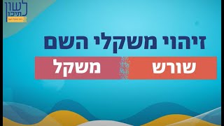 לשון לתיכון - זיהוי משקלי השם