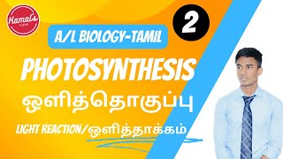 Grade12 | Biology | ஒளித்தாக்கம் | light reaction ☀️| photosynthesis | Tamil | Explained 🔥