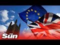 Brexit live replay: MPs vote to request Article 50 extension