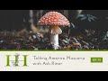 Talking Amanita muscaria with Ash Ritter - The Healing Home - Ep. 75