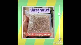 #กะปิเคยกุ้ง #กะปิแกง มีราคาปลีกและราคาส่ง