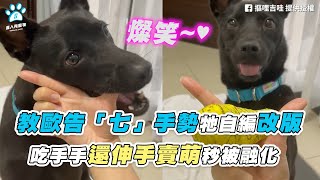 【教歐告「七」手勢牠自編改版 吃手手還伸手賣萌秒被融化】｜FB / 摳哩吉哇