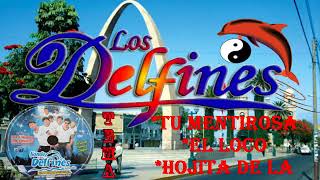 LOS DELFINES DE LA CUMBIA MIX