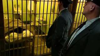 Escape Breakout From Alcatraz