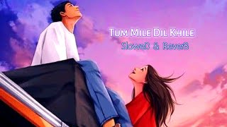 Tum Mile Dil Khile [SloweD & ReverB] Arijit Singh | SonG