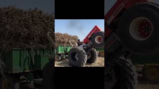 Nishu deshwal Swaraj tractor with big loaded trolley ki video #youtubeshorts #nishudashwal #shorts