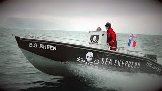 “Set The Whales Free” Operation Sleppid Grindini, Faroe Islands 2015.
